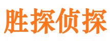 江川市侦探